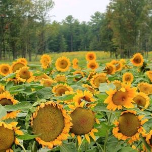 Meet your Posher, Kaitlyn